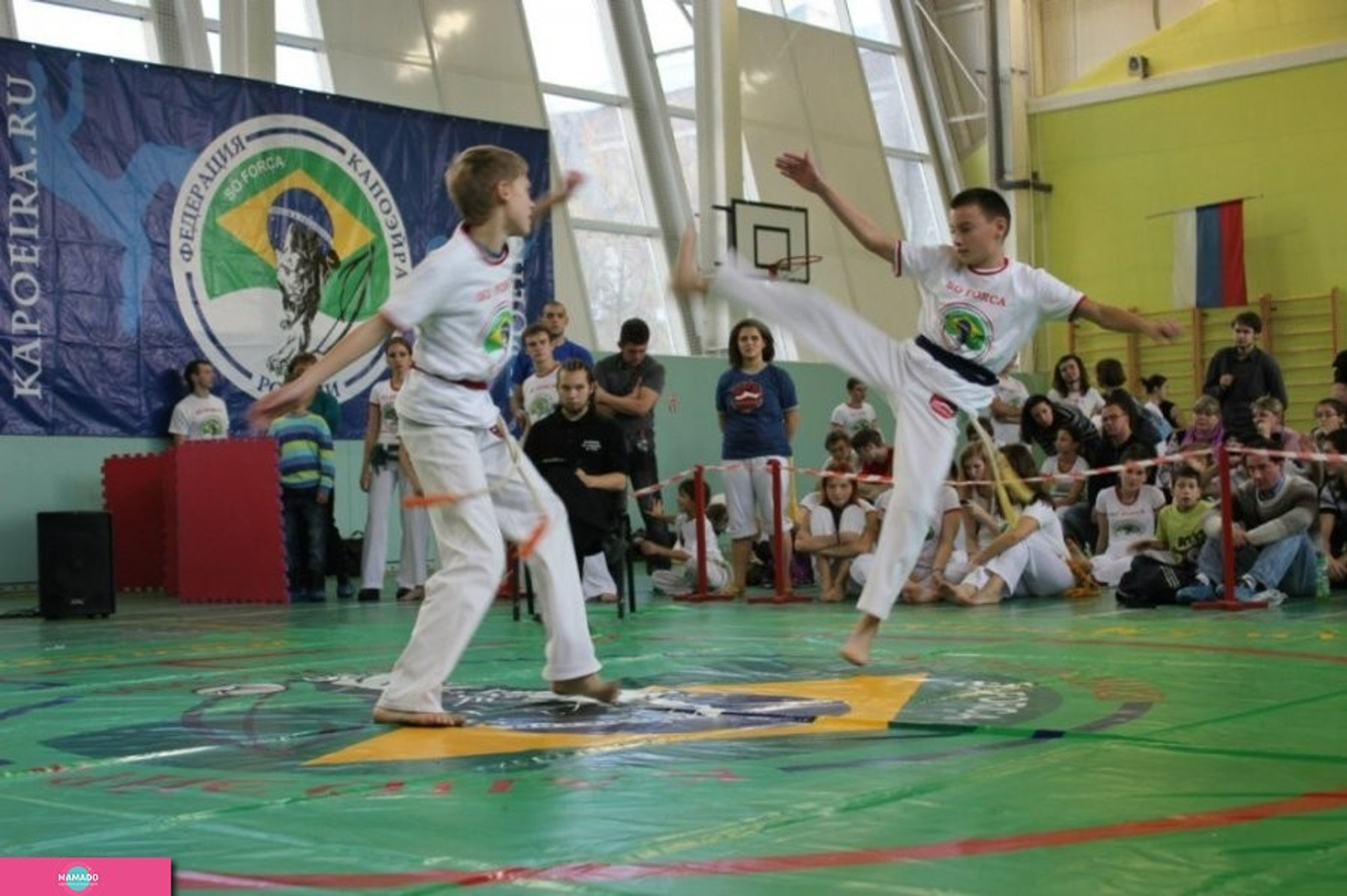 Capoeira Camara ("Капоэйра Камара"), капоэйра, джиу джитсу и музыкальные занятия в ЮАО, Москва 