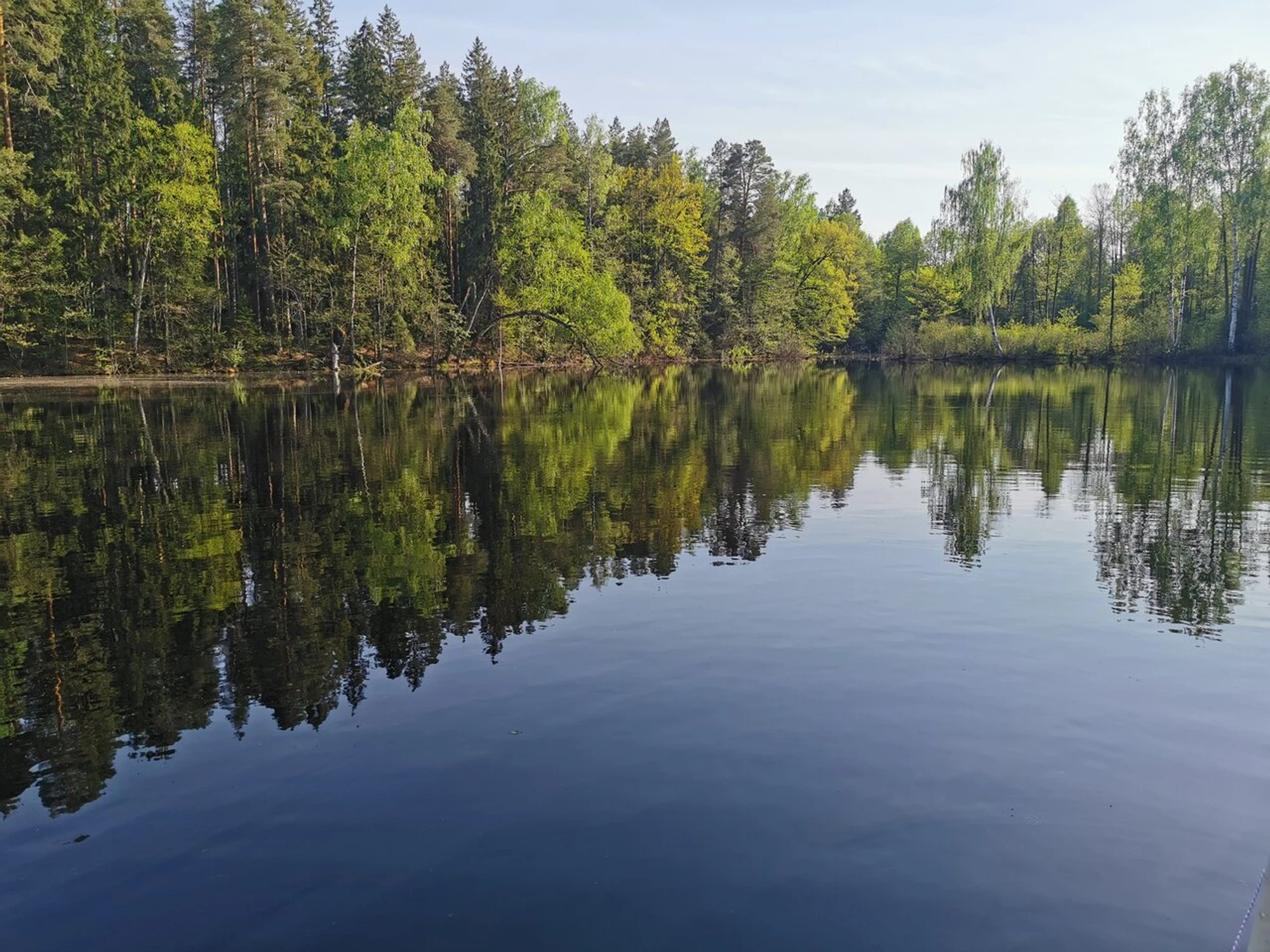 Экоцентр заповедника Керженский (Лесопарк )