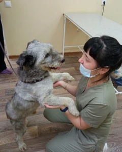 Питомец (Ветеринарная клиника )