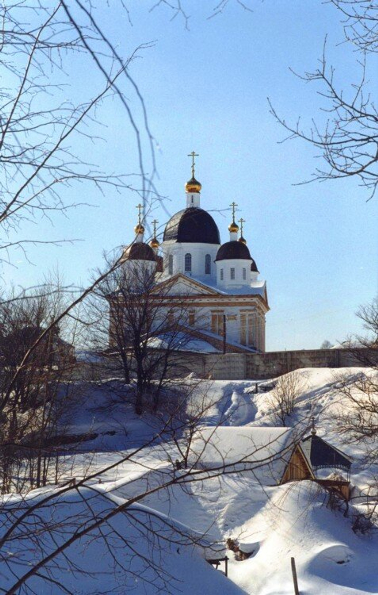 Собор Владимирской Оранской иконы Божией Матери (Православный храм)