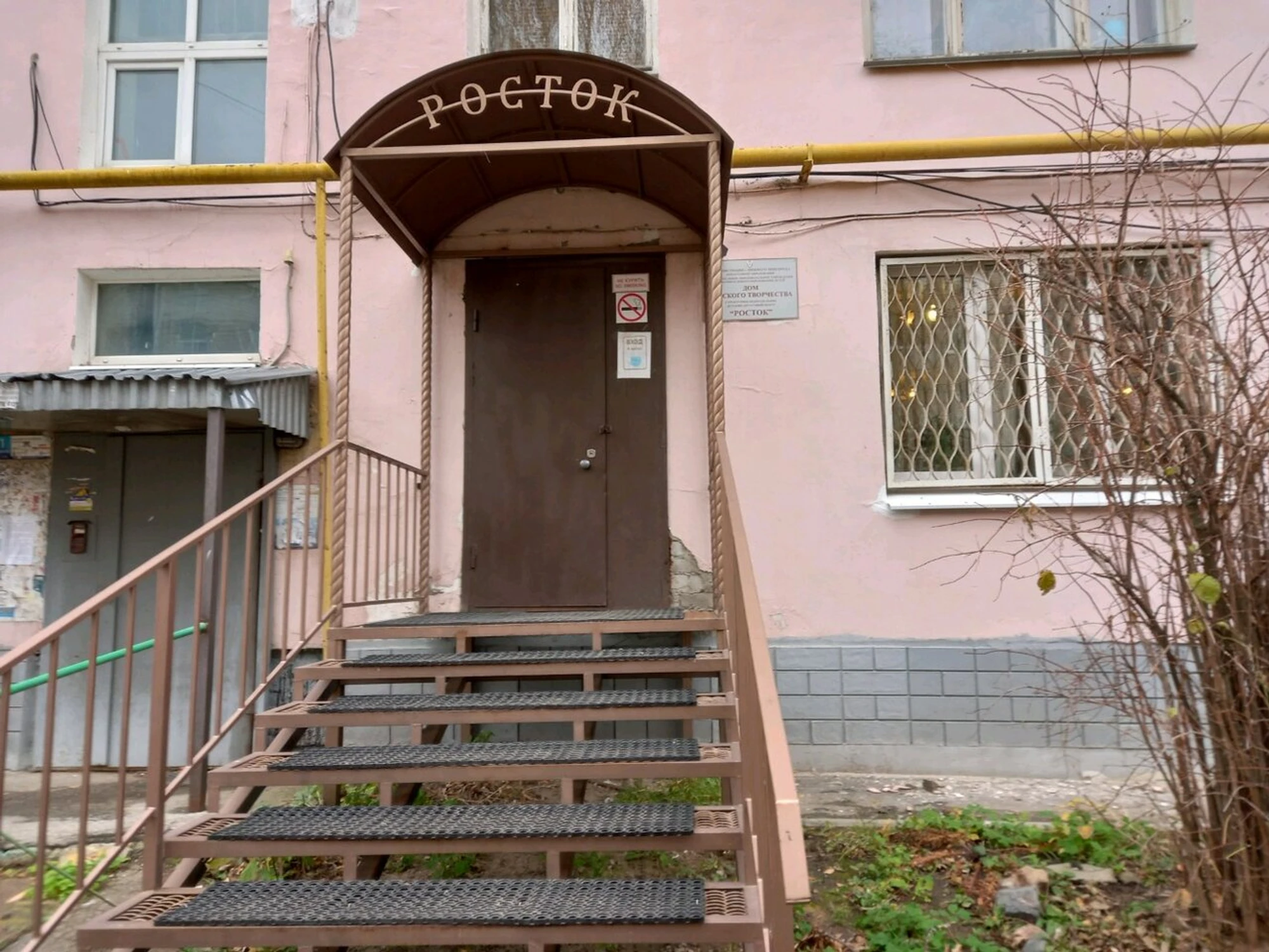 Росток (Дополнительное образование )