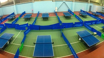 Клуб настольного тенниса "PingWinClub"