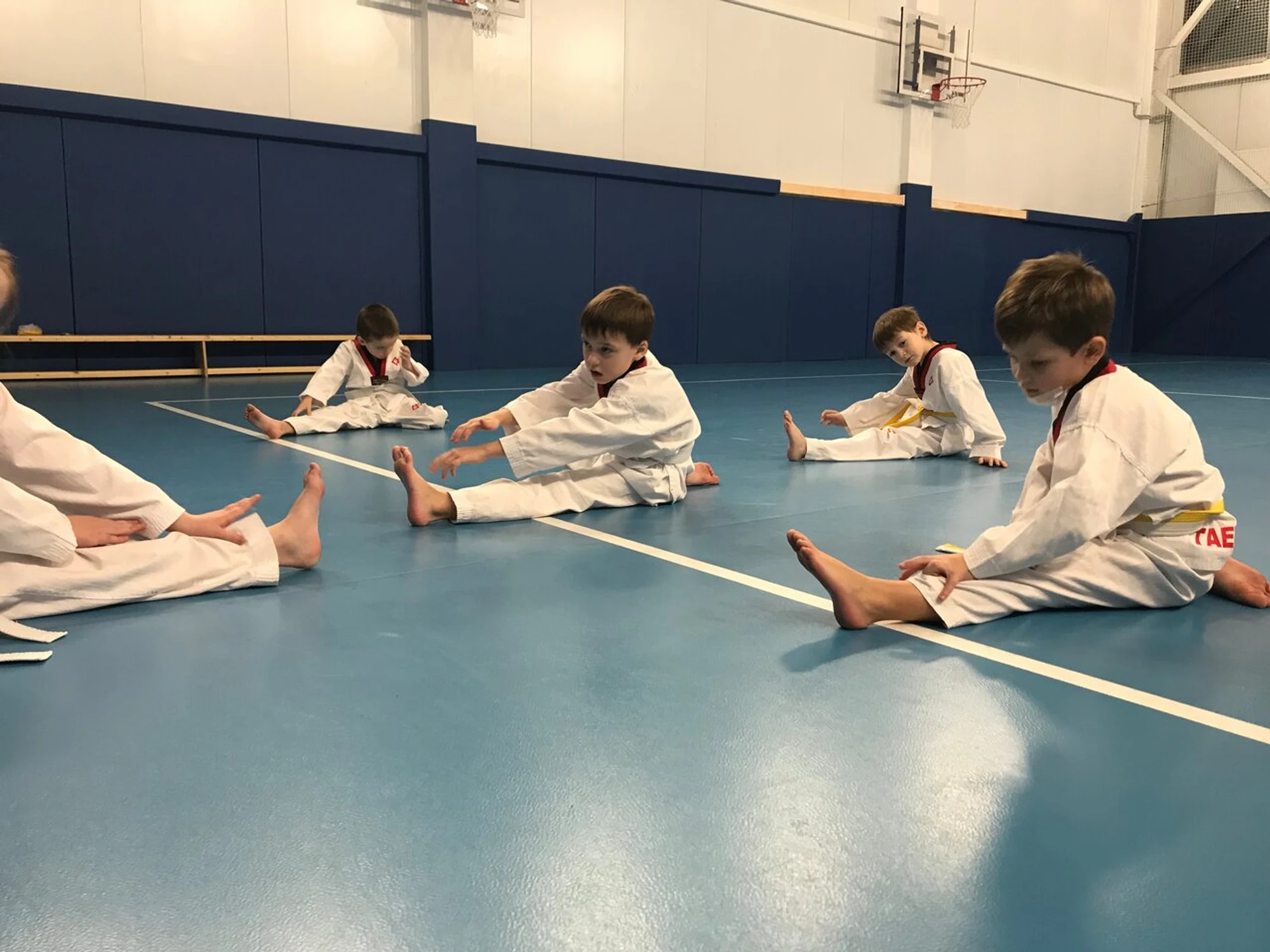 Спортивный клуб тхэквондо Taekwon (Спортивный клуб, секция )