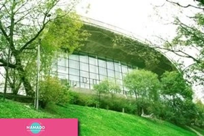 Владивостокский государственный цирк, Владивосток 