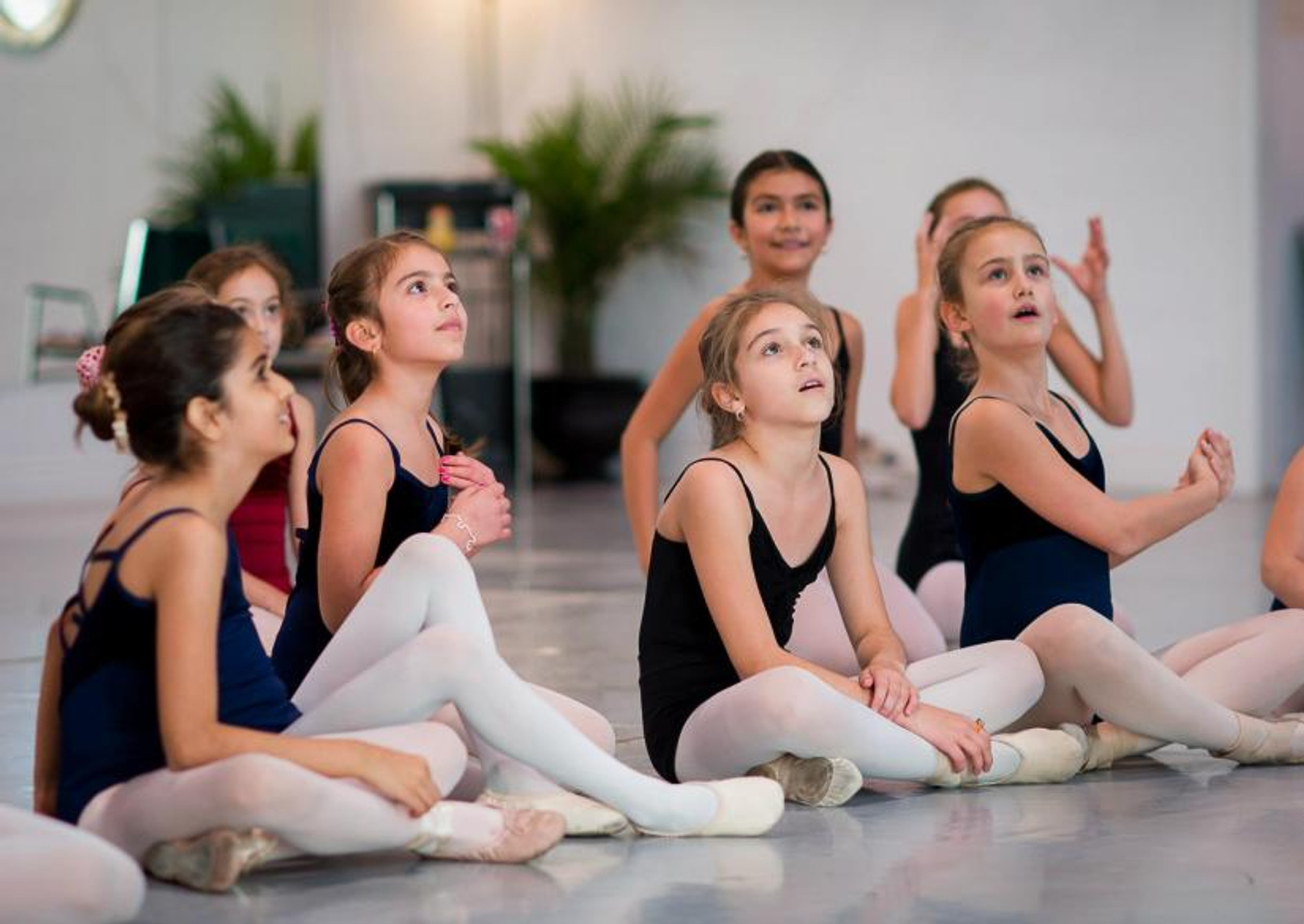 Amateur ballet Academy (Школа танцев )