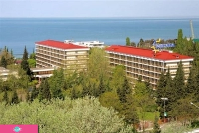"Бургас", пансионат, открытый бассейн, Сочи