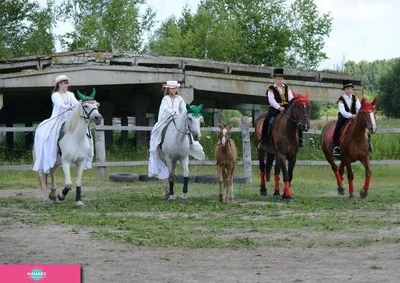 Rauschen, "Paушен", конный клуб, обучение верховой езде, Калининград 
