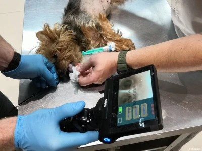 Панацея (Ветеринарная клиника )