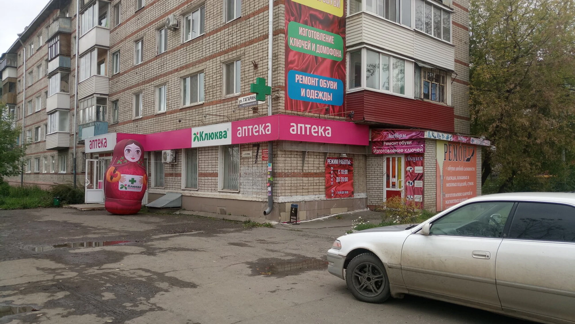 Клюква (Аптека)