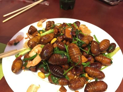 Ласточка (Кафе )