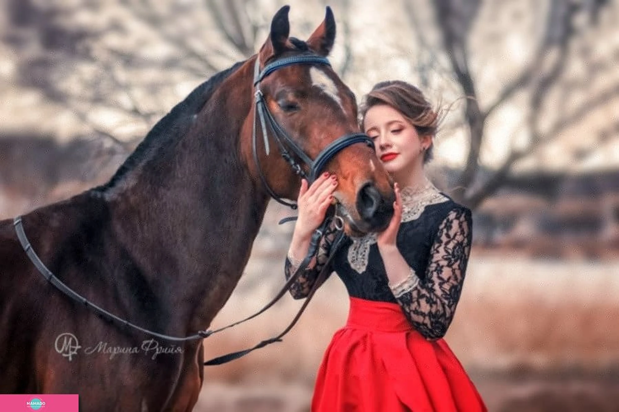 Dream Horse, верховая езда и конные прогулки для детей и взрослых в Ломоносовском районе, Ленинградская область