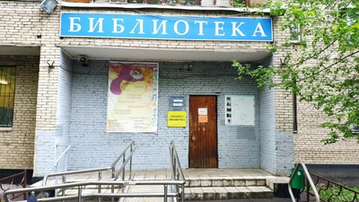 Алгоритмика (Дополнительное образование )