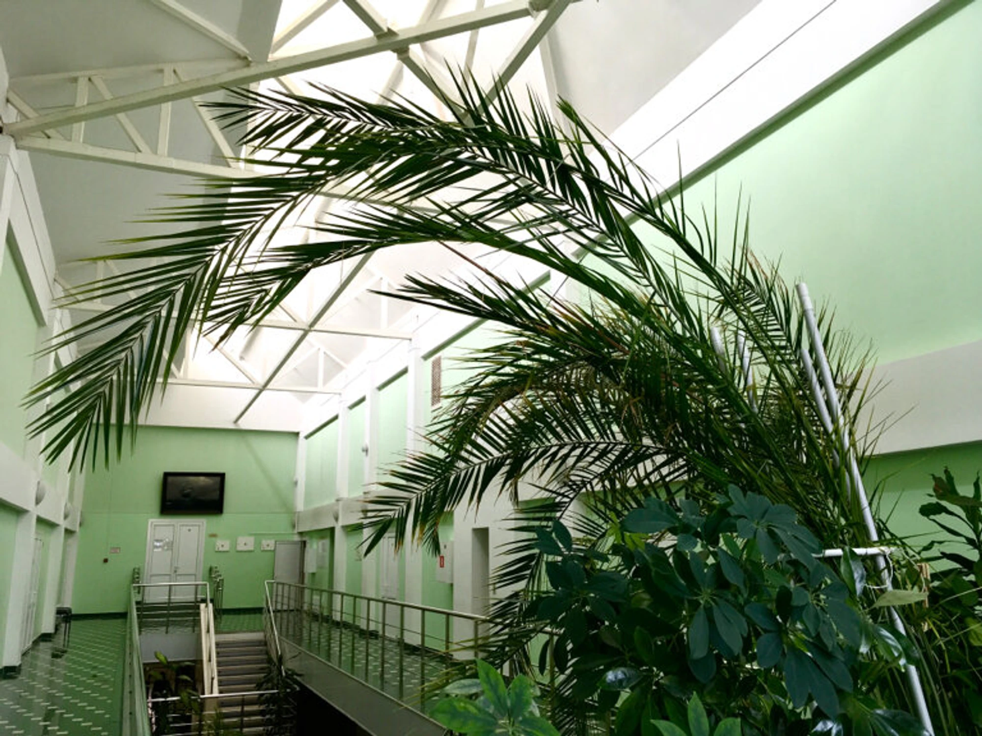 Художественная ковка (Школа искусств )