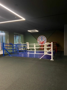 Центр Прогресса Бокса (Спортивный клуб, секция)