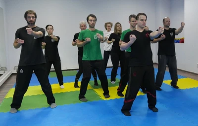 Стихия ВИН Чунь (Спортивное объединение )