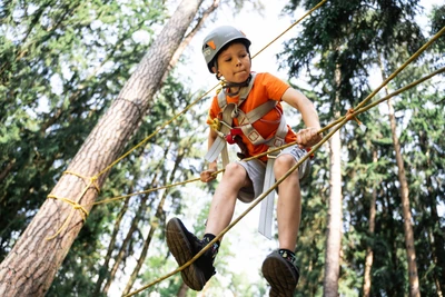 Программа «Новая Cтихия»