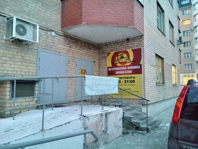 Котовасия (Ветеринарная клиника )