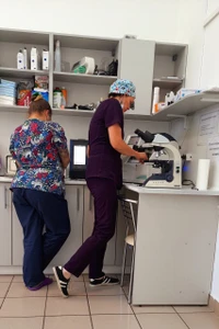 Вет. Статус (Ветеринарная клиника)