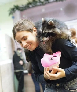 Скидка 10% студентам в антикафе "Пушистая братва"