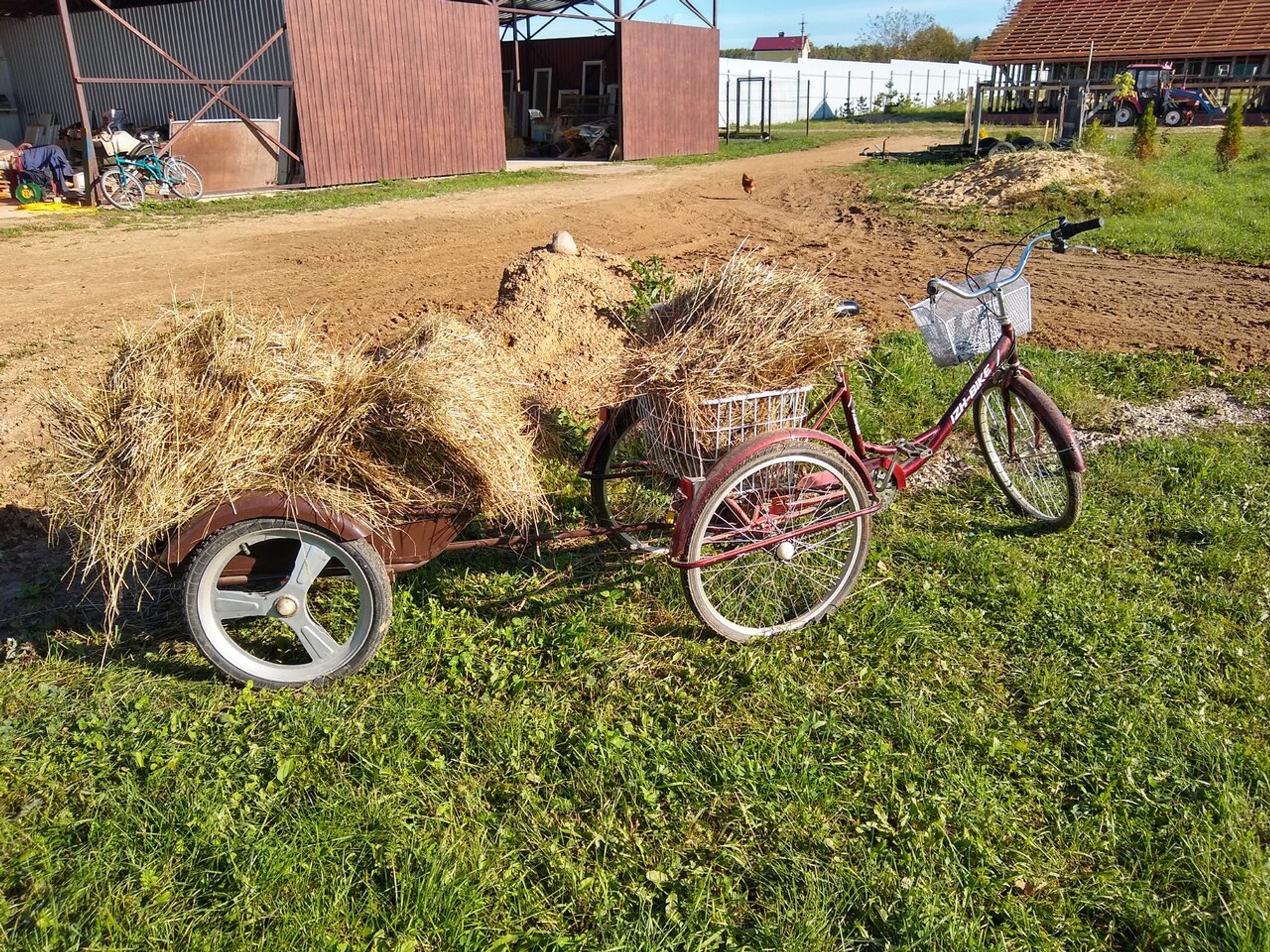 BlackStable (Конный клуб)