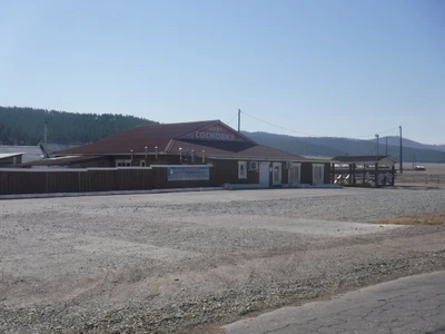 Сосновка (Кафе)