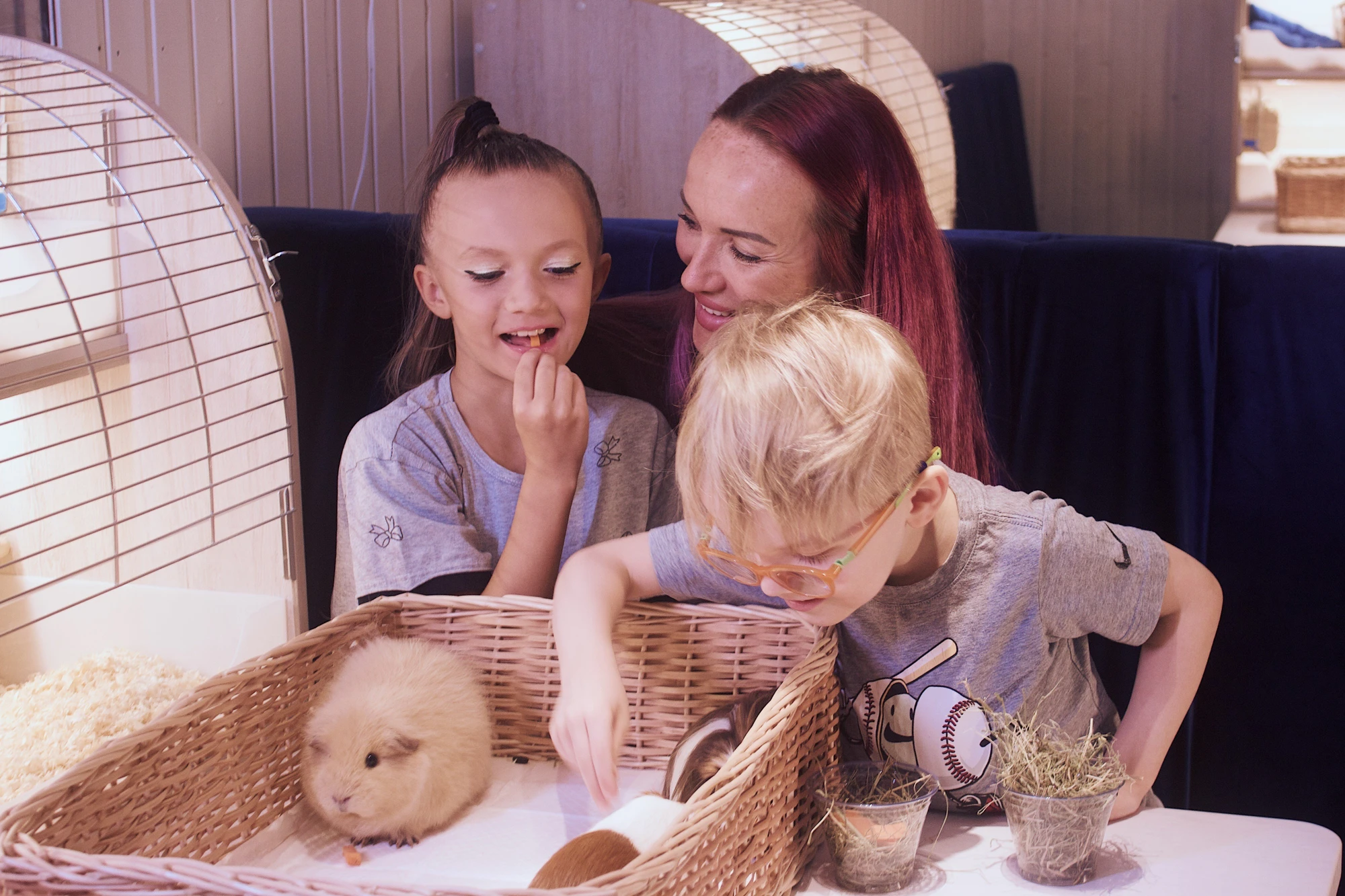 Моресвинок- контактный зоопарк с морскими свинками