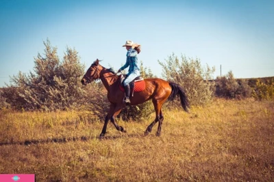 "Заречье", конноспортивный клуб, занятия верховой ездой для детей и взрослых в поселке Черноречье, Самарская область