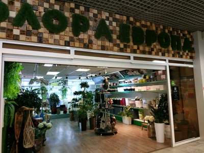 Флора Европа (Магазин подарков и сувениров )