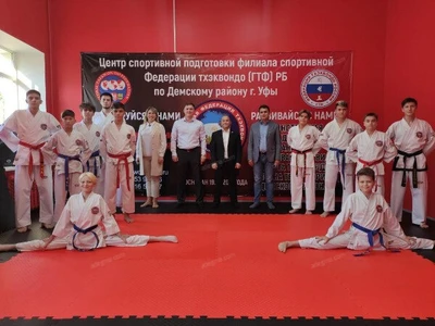 Филиал развития тхэквондо ГТФ по Демскому району (Спортивное объединение )