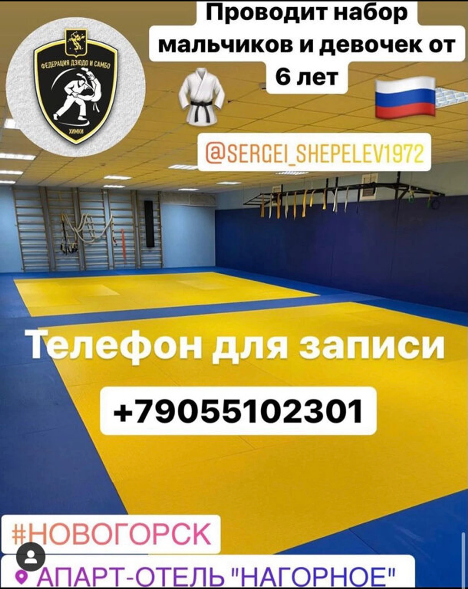 Химкинская городская спортивная общественная организация Федерация дзюдо и самбо (Спортивная школа)