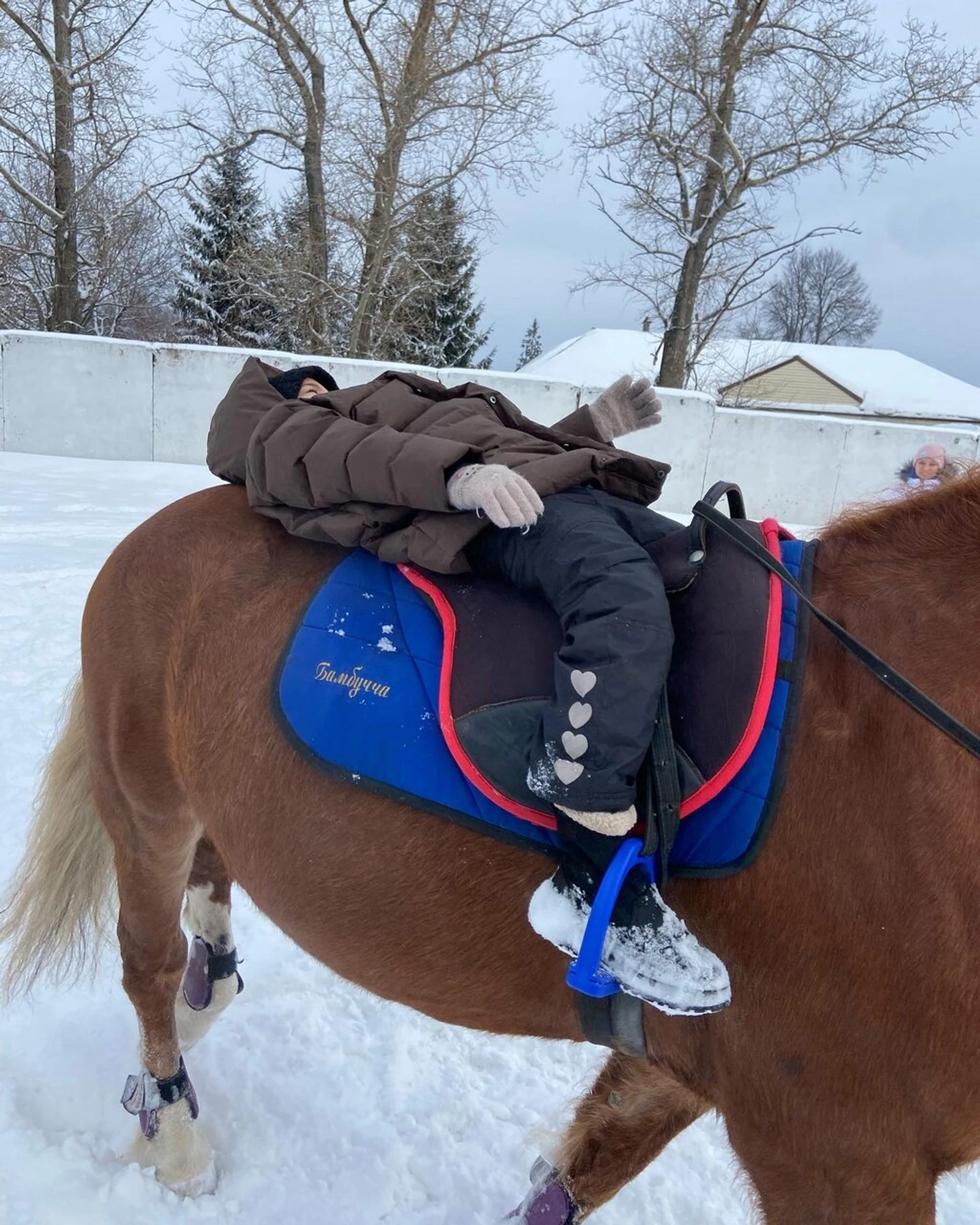 Легенда (Конный клуб)