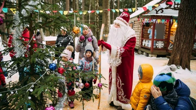 Новый год в парке семейного отдыха "Зубровник"