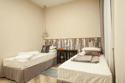 Михаил Строгов (Гостиница)