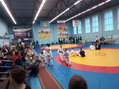 Зал единоборств (Спортивный, тренажёрный зал)