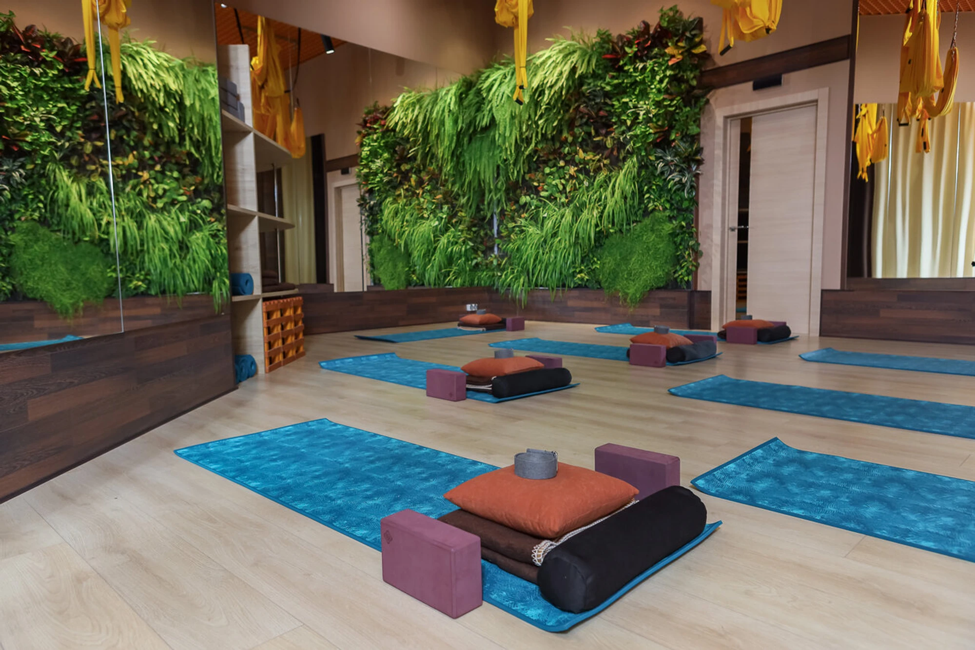 Студия йоги Аэрис (Центр йоги )