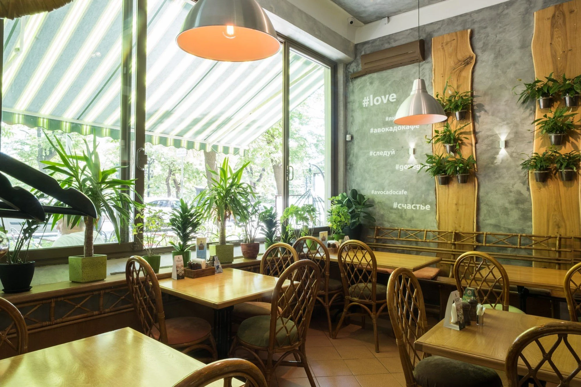 Фото:&nbsp;avocadocafe.ru