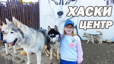 Хаски центр Красная Поляна