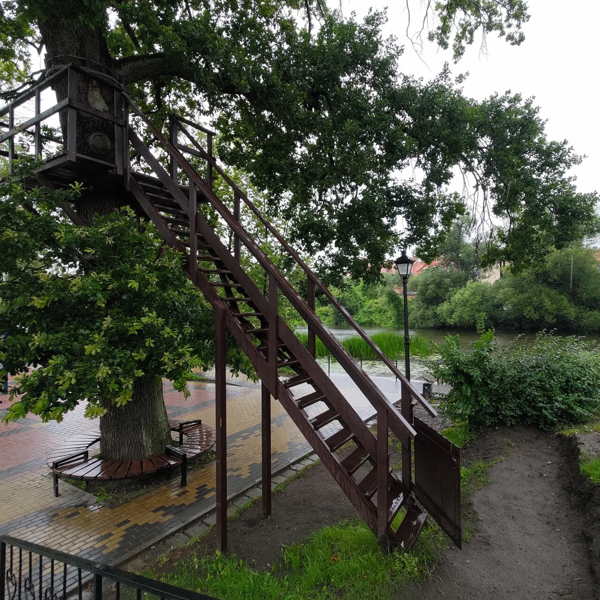 Верёвочным парк Заречный (Верёвочный парк )