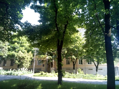 Курортная поликлиника им. Н. И. Пирогова