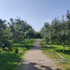 Митрополичий сад (Парк культуры и отдыха )