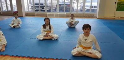 Детский клуб Сэйкан (Спортивный клуб, секция )