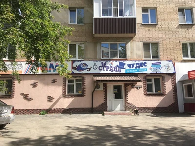 Страна Чудес (Организация и проведение детских праздников )