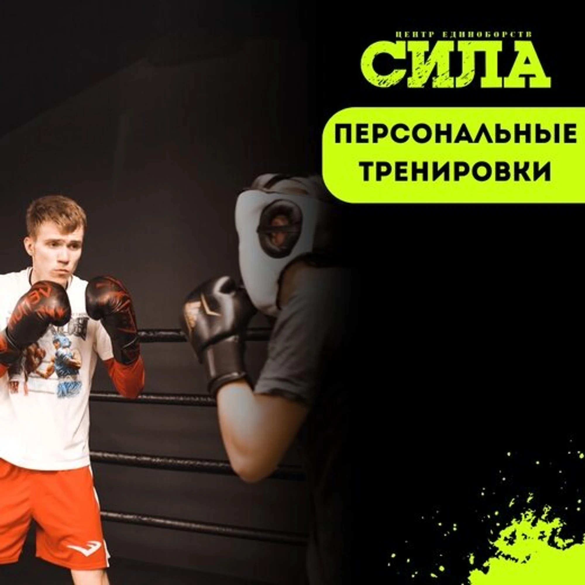 Сила (Спортивный клуб, секция )