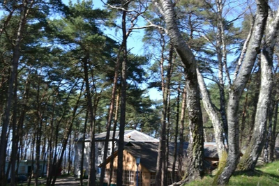 Сосновая Поляна (Дом отдыха)