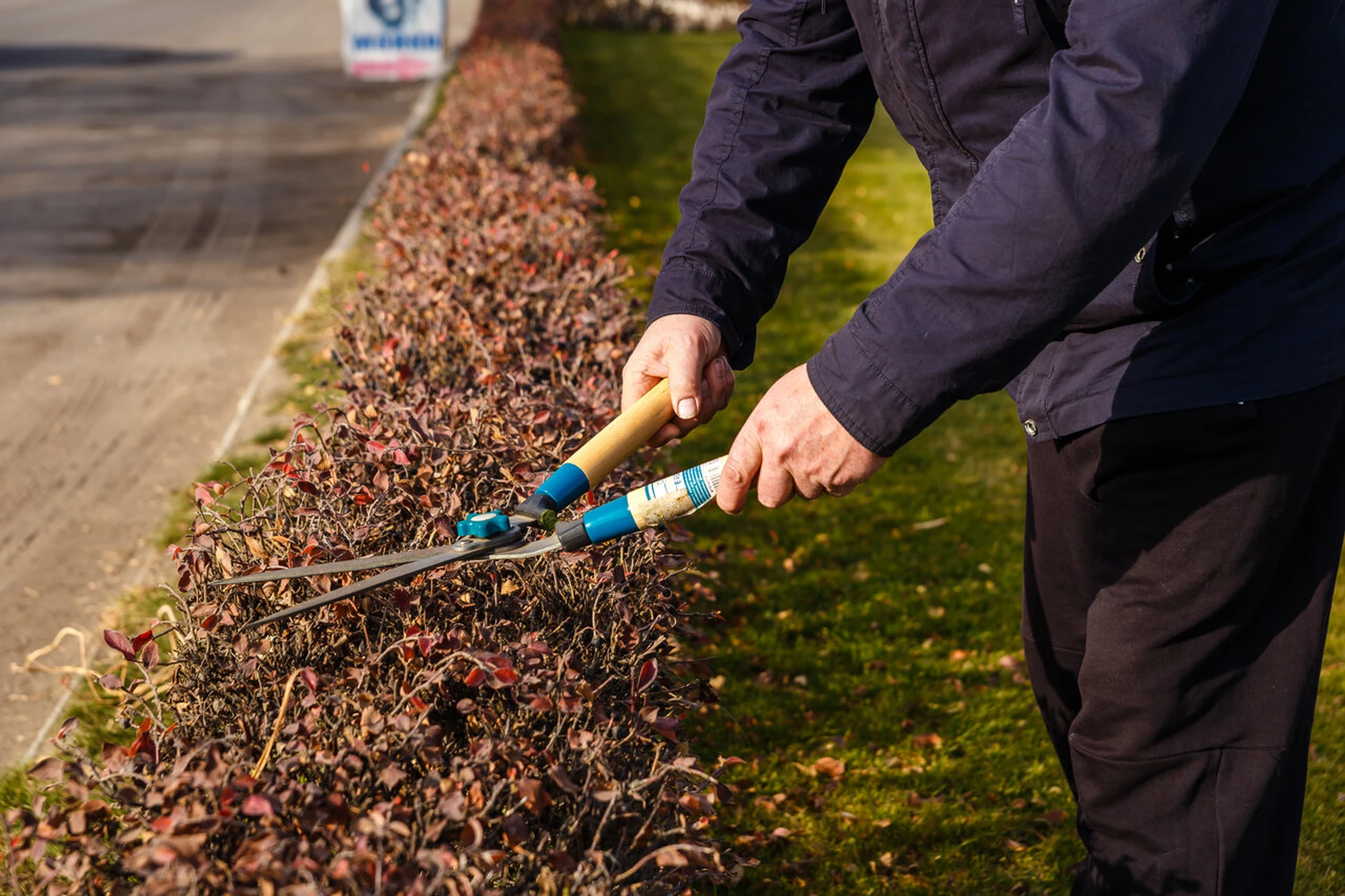 Организация Чистоты (Клининговые услуги )