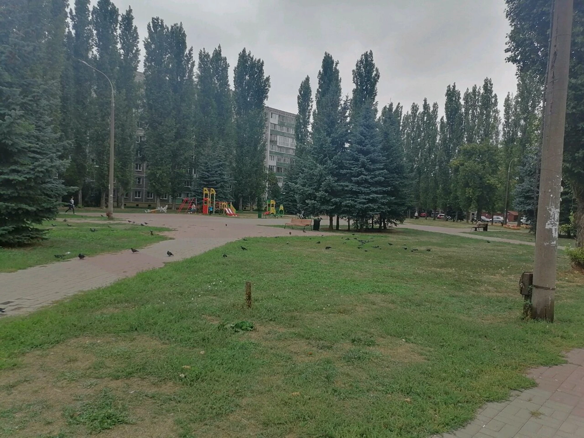 сквер Дружба (Сквер )