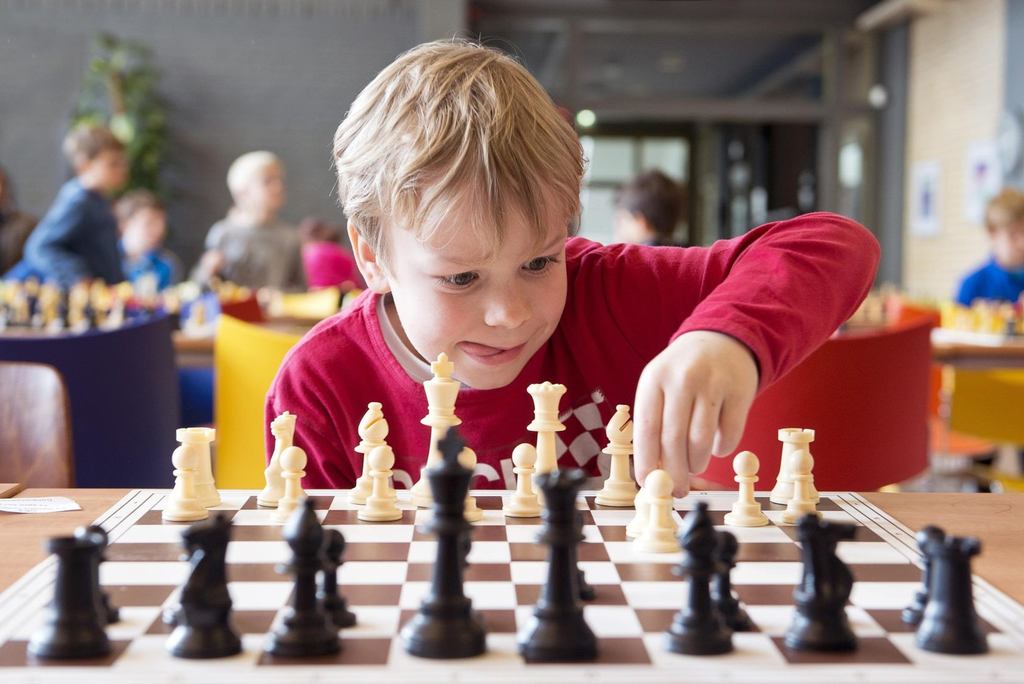 Международная online-школа шахмат для детей и взрослых