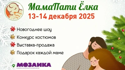 МамаПати Ëлка, Фестиваль для беременных и мам 13-14 декабря