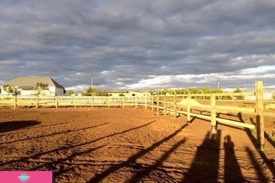 "В моих лугах", экоферма в селе Новый Буян, Самарская область 