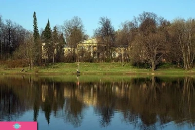 "Усадьба Виноградово", парк, дворянская усадьба